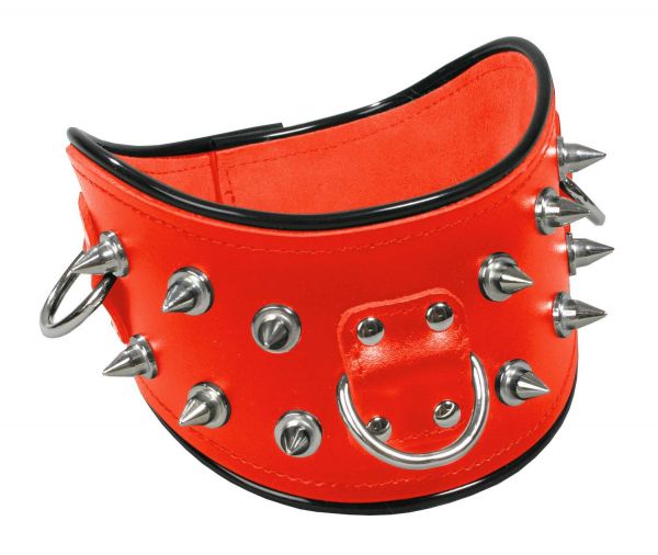 Ledapol Leder Halsband mit Nieten