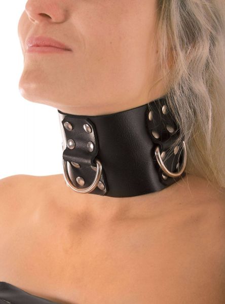 Ledapol Leder Halsband mit D-Ringen