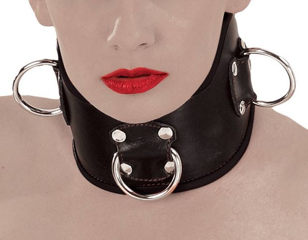 Ledapol Breites Leder Halsband mit D-Ringen S-L