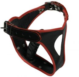 Ledapol Leder Dildo Penis Slip schwarz-rot Ledapol Leder Dildo Penis Slip schwarz-rot